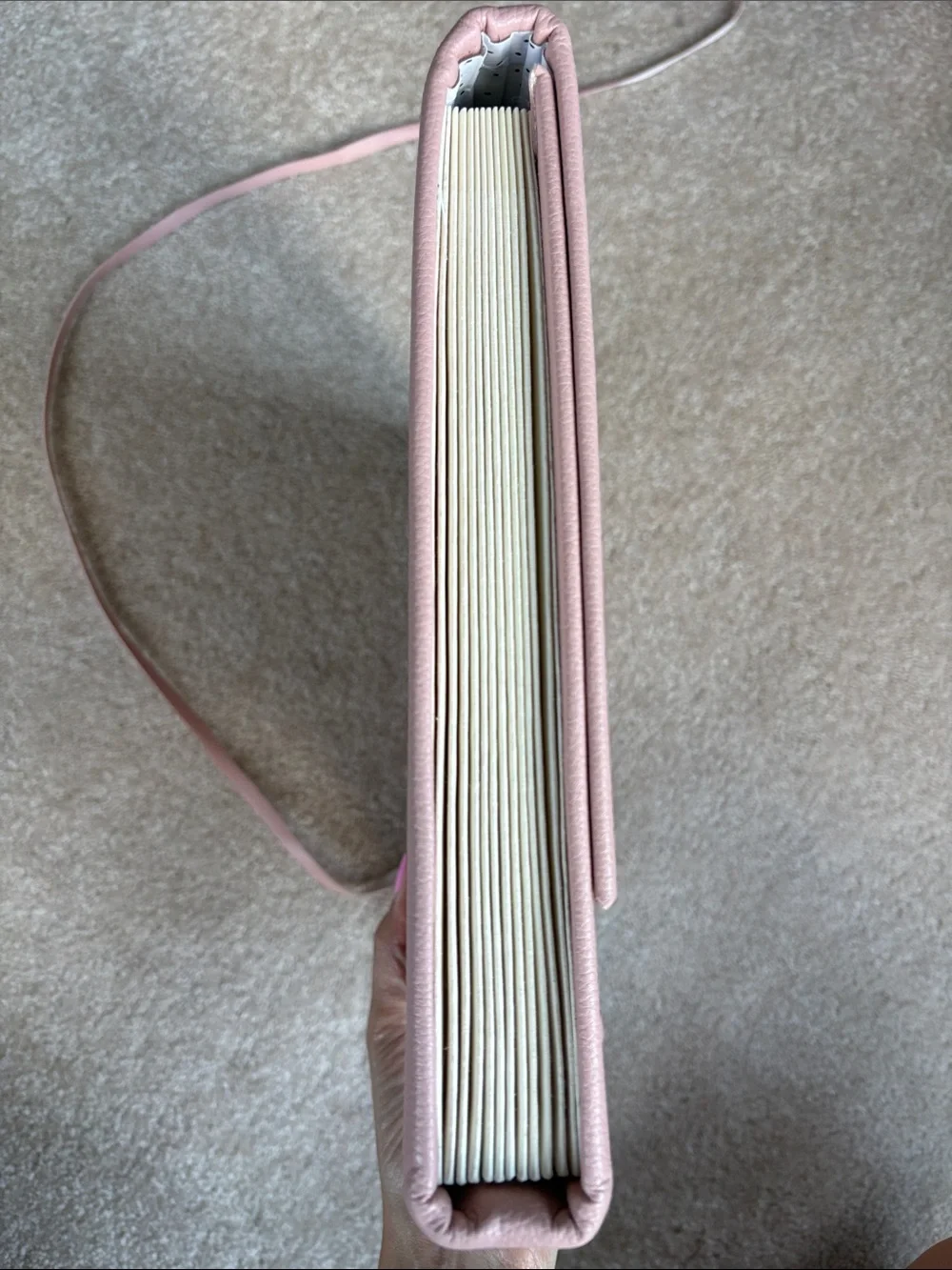 Blush Pink Tie-Closure Accordion Folder